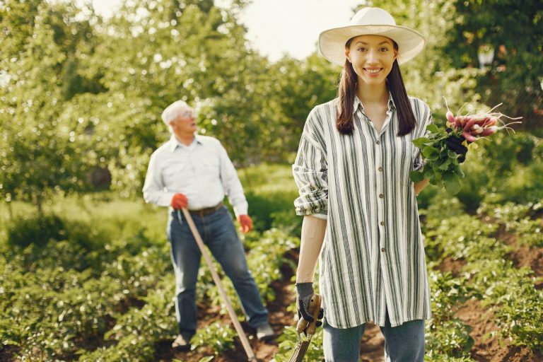 Natural First Aid for the Gardener and Handy Person